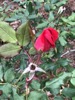 resIMG_20200216_140630_6471.jpg
